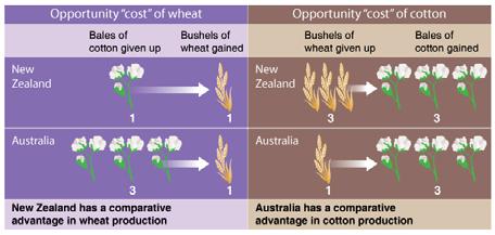 For Ricardo to be correct about the gains from specialization, it must be true that moving resources around in the two countries generates more than the 375 bushels of wheat and bales of cotton that