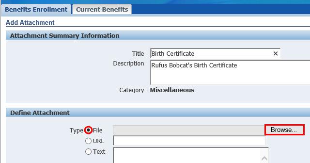 Oracle Advanced Benefits: Open Enrollment 12. Enter an optional Title and Description for the document.
