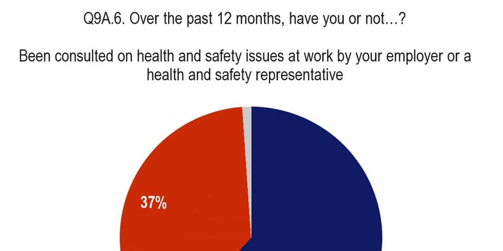 4.3 A majority say they have been consulted on health and safety