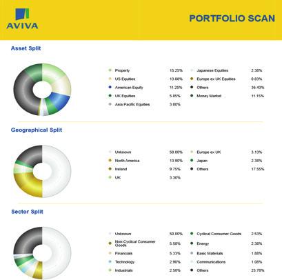 chart (). 7.7 Top Holdings This tab provides a breakdown of the top 0 holdings of the portfolio, along with their % weightings. 7.8 Exporting the Portfolio Scan Report to PDF At any given time whilst in the portfolio scan, you have the option to produce a printable PDF version of the report.