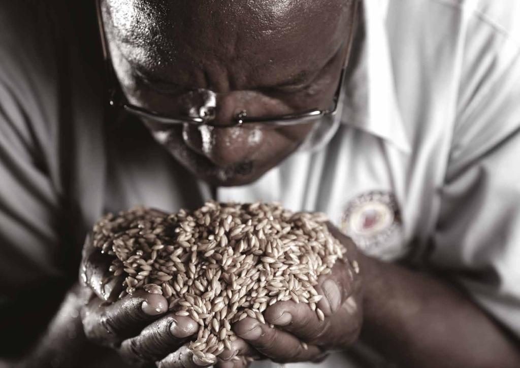 Excellence built from sustainability In the agriculture sector, barley farming is a source of livelihood for more than 270 farmers in rural Tanzania.