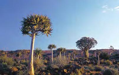 NORTHERN CAPE DEPARTMENTS Environment and Nature