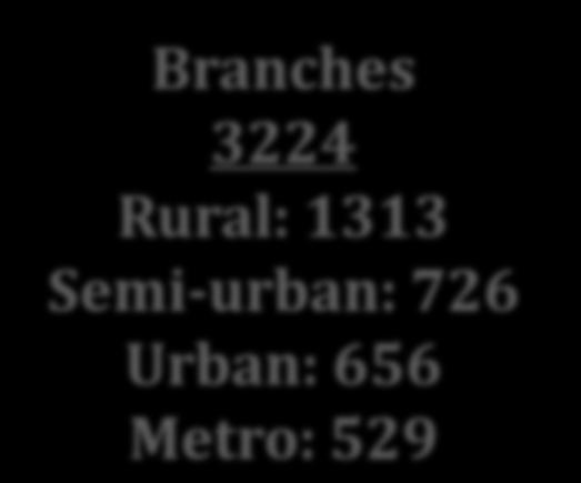 Domestic Branch Network URBAN 20%