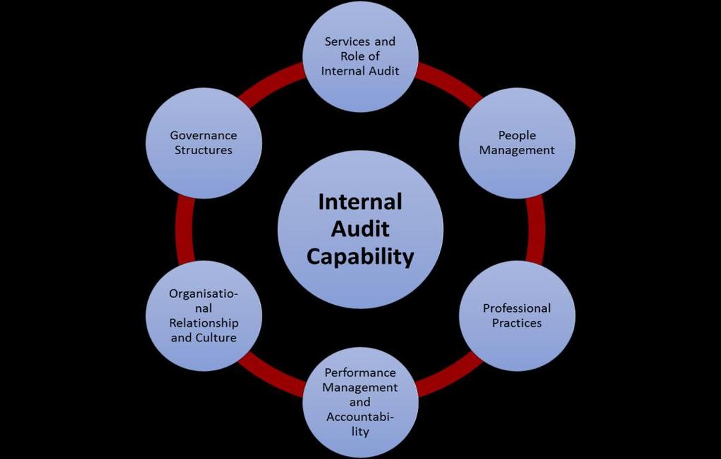 II.3 Internal Audit Capability Adapted from IIA Research Foundation (2009) Internal Audit Capability Model for the Public