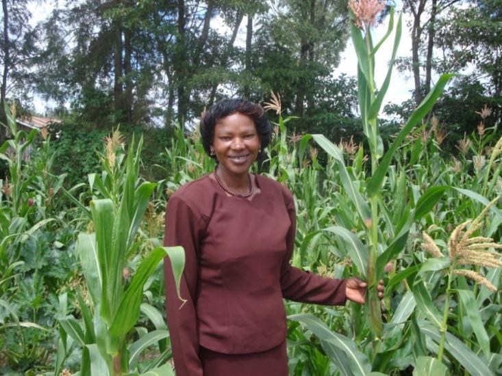 Since she was insured she bought maize seed AGAIN worth 18 USD in October 2009 And harvested 2 bags of maize (80 USD) the