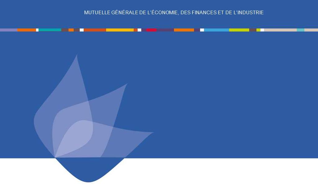 Annexe SFCR : public disclosure (Solvency and Financial Conditions Report) Données clôturées au titre de l'exercice 2017 MGEFI - 6, rue Bouchardon