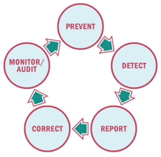 What Are Internal Monitoring and Audits?