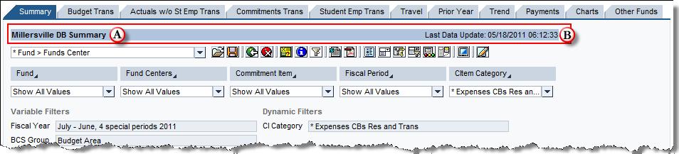 Tab Layout BI reports are tabular in nature. Each report will contain at least one tab and may have many tabs.