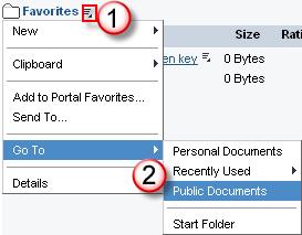 Manage Saved Views The Manage Saved Views tab on the Business Intelligence menu will be used for two purposes. It will enable a user to directly access a personal view they have created.