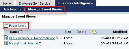 This tab will also be used to access custom views created for you by the Accounting or Budget Offices.