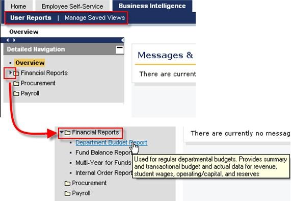 You can hover over the report to get a brief description of the report and what it is used for. There are currently no reports published to the Procurement and Payroll folders.