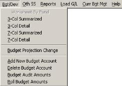 General Ledger 3-Column Reports Two different variations of the 3-Column reports exist: Summarized and Detail.