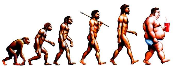 Evolution of Food