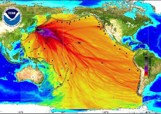 Far reaching effects of Tohoku Tsunami, e.g. damage/loss in California Each of the five M 9.