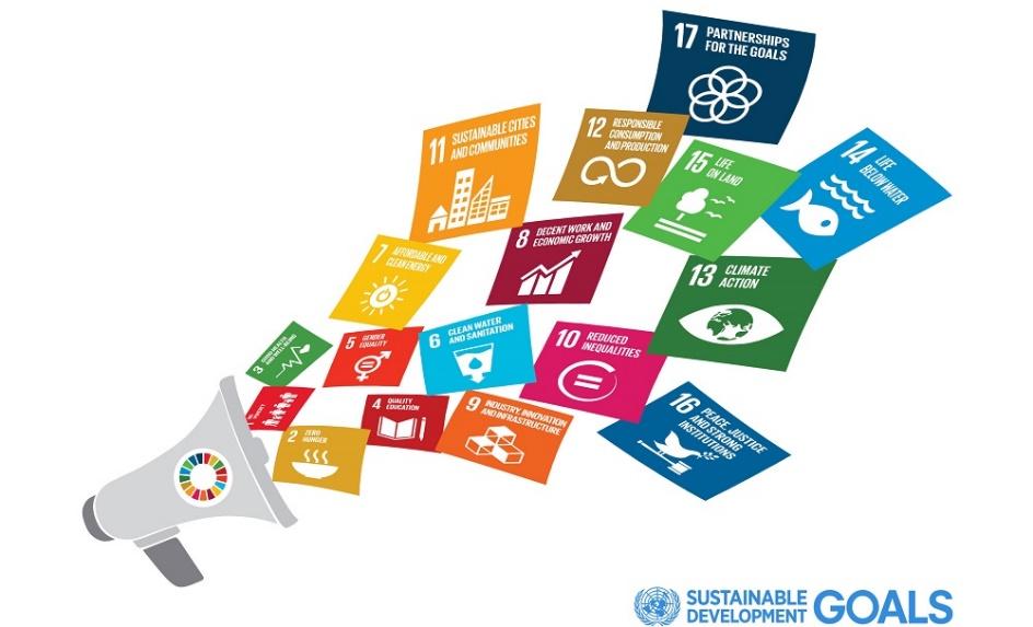 The Sustainable Development Goals (SDGs) as an organizing platform SDGs are a useful framework to identify, design and deliver impact investing opportunities: Provides universal goals and a framework