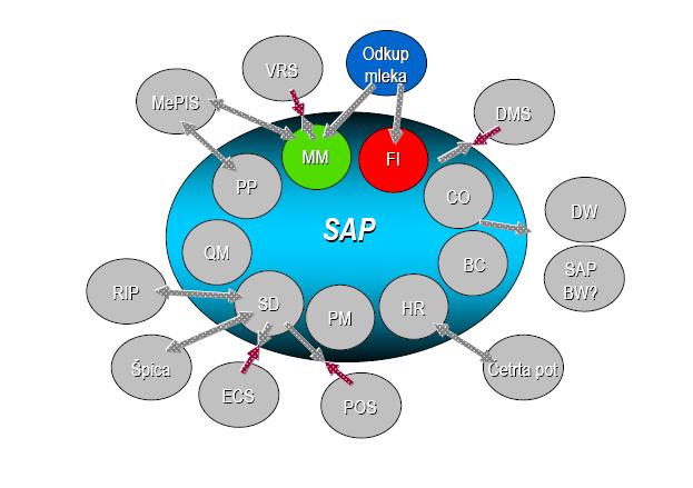35 zagotoviti izobraževanje do te mere, da bodo ključni in končni uporabniki lahko popolnoma samostojno upravljali informacijski sistem SAP R/3, razvijalci pa bodo sposobni po pravilih podjetja SAP