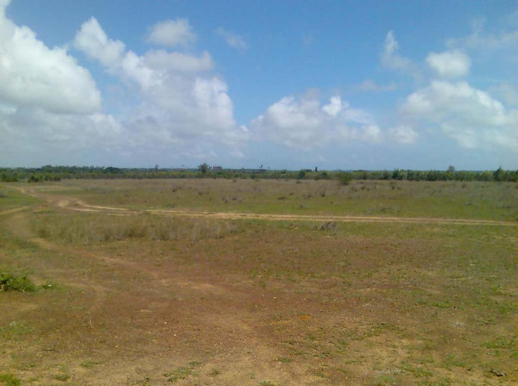 Site at Seekinakuppam Dry