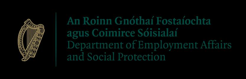 An Roinn Gnóthaí Fostaíochta agus Coimirce Sóisialaí Policy Options Report on 2012 Rate