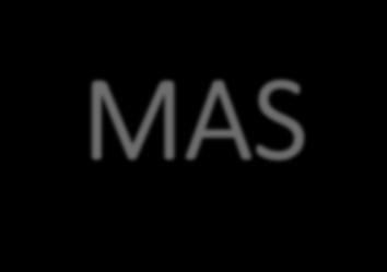 MAS-Index