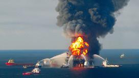 Deepwater Horizon oil spill, 2010 is considered the largest accidental marine oil spill in the history of the petroleum industry, an