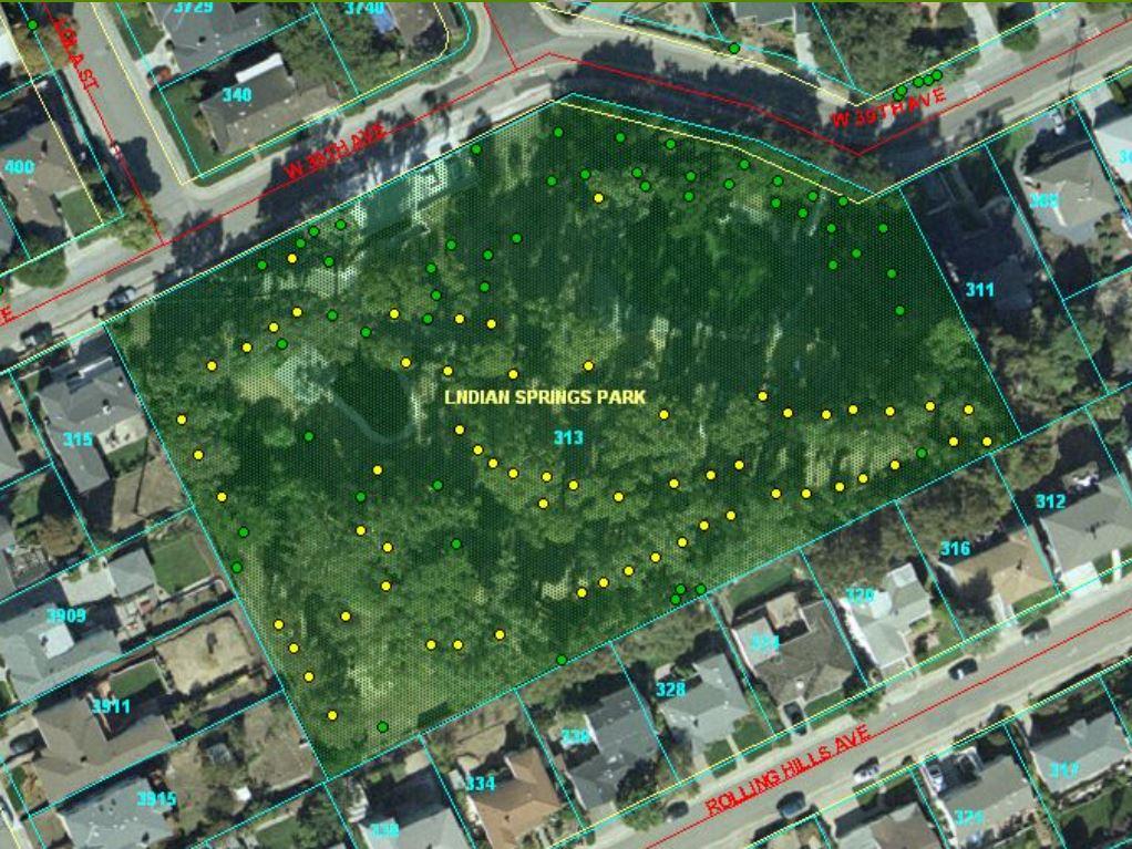 Site Map 2. Last updated January 2010. Yellow points are Eucalyptus trees in park 14 DBH and greater, as of Jan 2010.