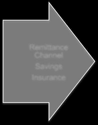 Departure Credits Savings Insurance During Migration Remittance Channel Savings