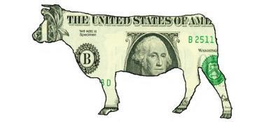 Livestock Livestock expenses should be present if