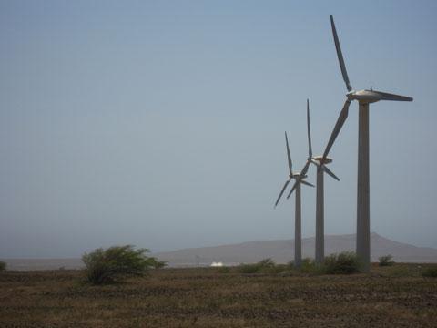 Case Study Cabeolica Wind Farm First