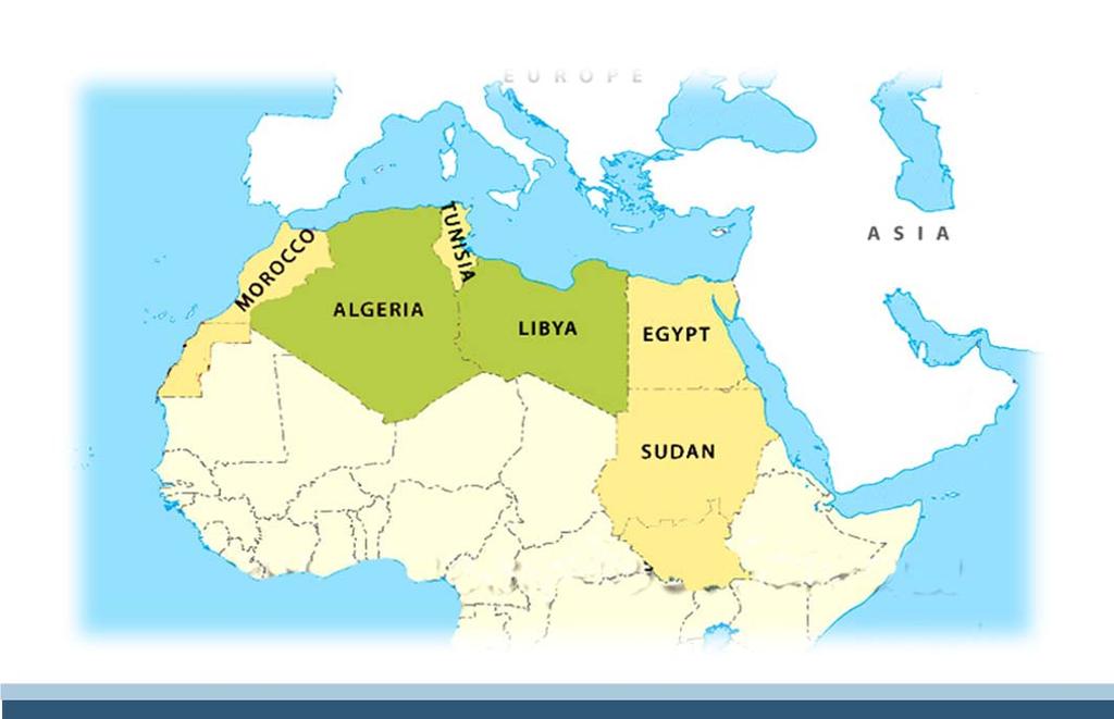 The Political & Economic Scene While Egypt and Tunisia make remarkable progress in the political transition process, Libya descends into chaos.