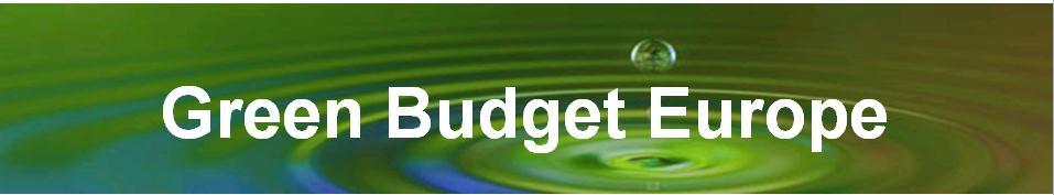 Green Budget Europe ENVIRONMENTAL FISCAL REFORM: KEY FOR THE EUROPEAN SEMESTER TO DELIVER GREENING THE ECONOMIC AND SOCIAL GOVERNANCE OF