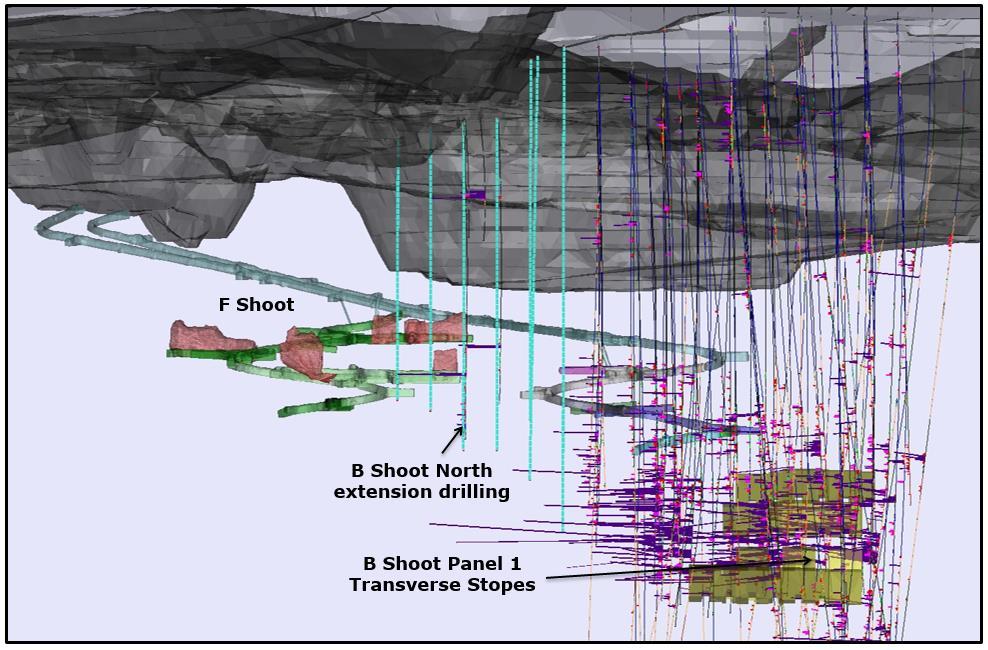 Wassa Underground: 2017 Exploration Three key focuses at Wassa Underground: B Shoot North extension drilling Expected to comprise 3,000m
