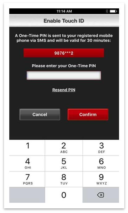 Enter the One-Time PIN (OTP) which is sent to your registered mobile
