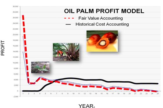 4. IFRS Issues for Economic Activities (4) Effects of Fair Value Accounting ~ Unlisted Shares, Agriculture Accounting Fair value of unlisted shares Agriculture Accounting (Fair value of palm trees)