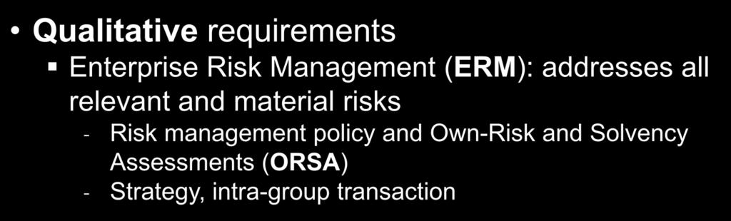 (ERM): addresses all relevant and material risks Risk management policy