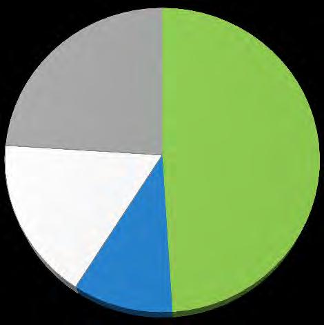 5,1 Ownership 24% 49% 17% 1% Intern.