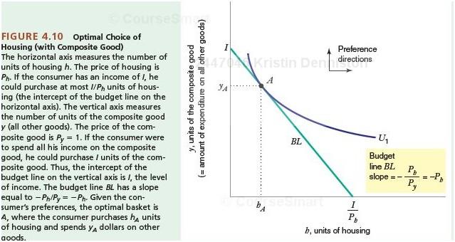 P a g e 12 NOTE: with the composite good y on the y axis, the slope of the