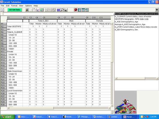 Step 10. Now you have to drag the variables to the spreadsheet. First drag the GESTFIPS variable to the R1, C1 cell.