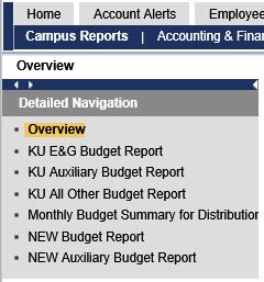Running BI Reports After logging into Business Intelligence, click the Campus Reports tab. Then select the NEW Budget Report or the NEW Auxiliary Budget Report, depending on your department.