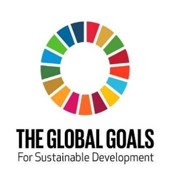 The CPI and the Sustainable Development Goals The CPI has the characteristics to be the Global Monitoring Framework