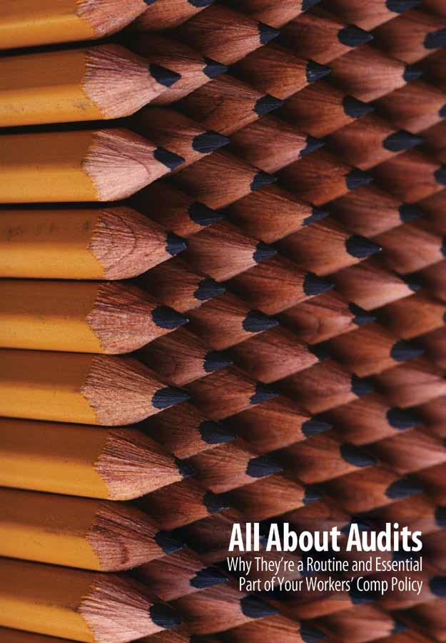 A workers compensation resource for State Fund policyholders 2010 Issue 1 In This Issue: Understanding Your Audit: Why It Matters, How It Helps How to Prepare for and Streamline a Payroll Audit File