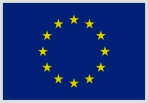 This action is funded by the European Union ANNEX 7 OF THE COMMISSION IMPLEMENTING DECISION ON THE MULTIANNUAL ACTION PROGRAMME FOR YEARS 2015 PART II, 2016 AND 2017 FOR THE THEMATIC PROGRAMME CIVIL