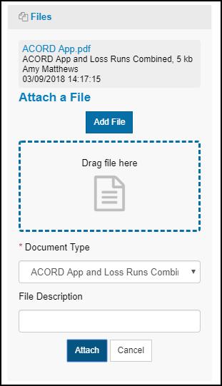 You may also enter an optional description of the form if desired. After choosing the document type, select Attach to add the file to the work item.