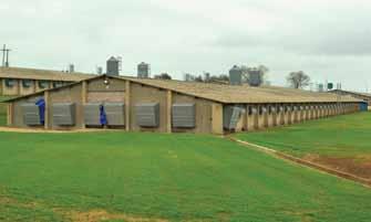 This target is based on 2011 consumption and is supported by a number of initiatives: Poultry house upgrades consisting of ventilation control and redesign ensures that electrical and heating