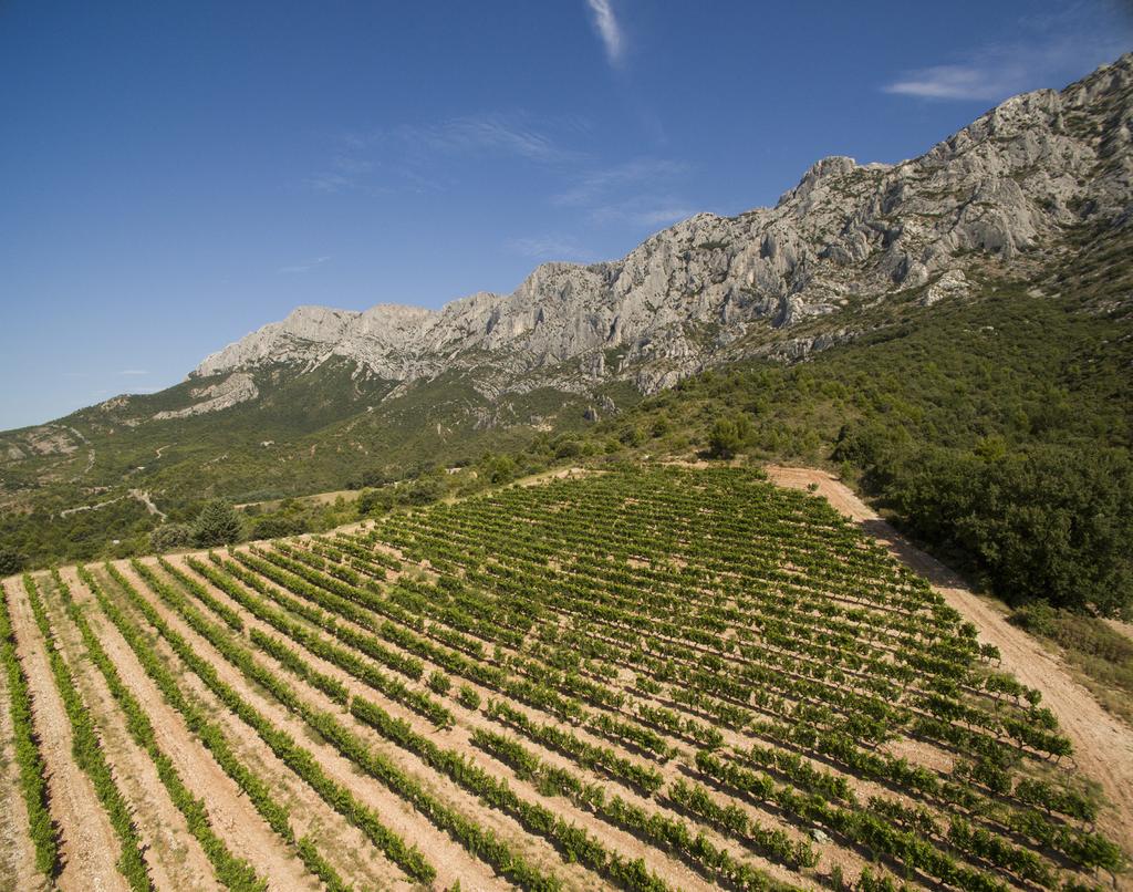 HIGHLIGHTS Visit to 7 wineries with wine tasting Cheese & wine pairing workshop Blend and bottle your own wine Tasty French cuisine Visit to Aix-en-Provence Provence is the world s largest producer