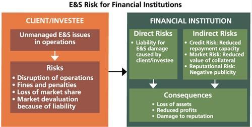 How are E&S risks
