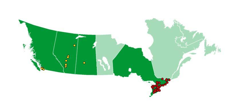 SUNBELT CANADA Sunbelt Canada Nine months (C$m) 2018 2017 % growth Rental revenue 133 50 164% EBITDA 60 22 174% EBITA 33 7 376% Rental revenue