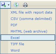 Your Report will display in Excel.