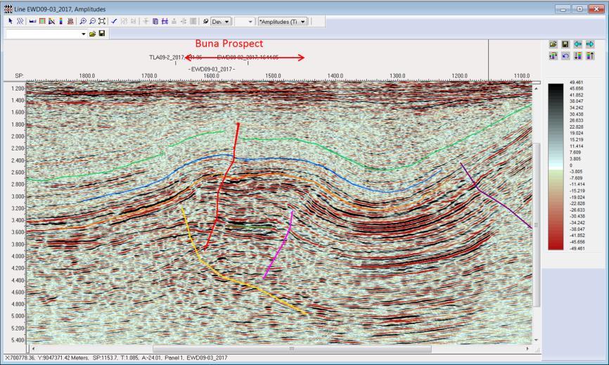 PPL 560 Cape Vogel Basin Multi-TCF structure with a DHI indicating a gas cap in the emerging Cape Vogel Basin Seismic data suggests gas cap