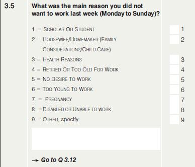 STATISTICS SOUTH AFRICA 28 0211 Question 3.5 Reason for not working (Q35YNOTWRK) (@58 1.