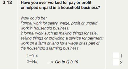 STATISTICS SOUTH AFRICA 34 0211 Question 3.12 Ever worked (Q312EVERWRK) (@68 1.) The aim of this question was to find out if the person had ever worked for pay, profit or family gain.